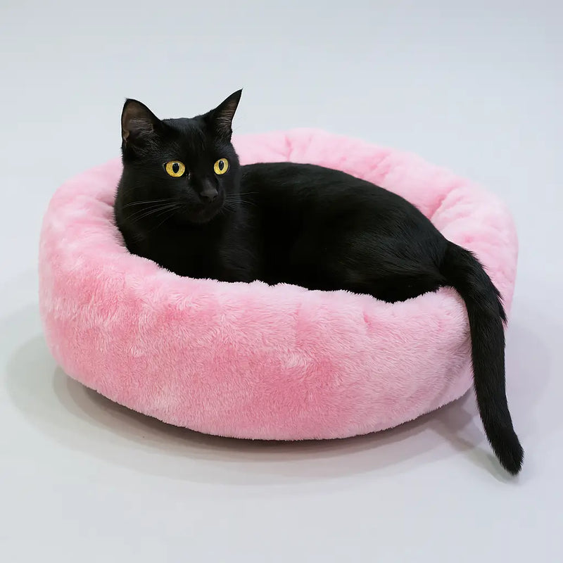 gato deitado na cama nuvem redonda e rosa