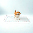 tapete higienico lavavel aberto com cachorro encima feliz